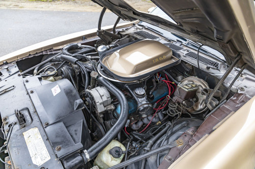 0-2500x0-storage-uploads-media-car-1520-pontiac-trans-am-firebid-6-6-gold-15-a3kn-.jpg