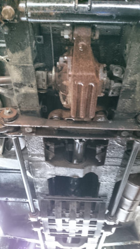 WhatsApp Image 2021-06-09 at 16.46.01