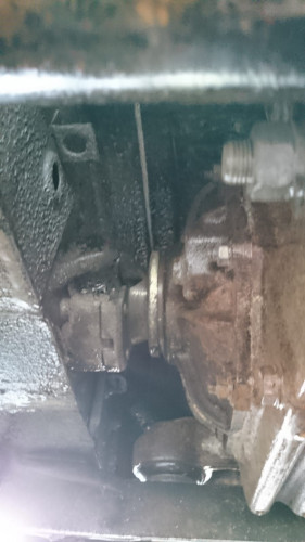 WhatsApp Image 2021-06-09 at 16.46.03