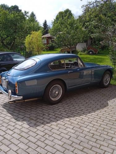 WhatsApp Image 2021-07-27 at 15.48.07