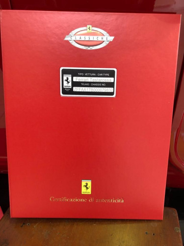 WhatsApp Image 2019-03-01 at 11.51.08(1)