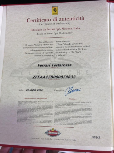 WhatsApp Image 2019-03-01 at 11.51.08(2)