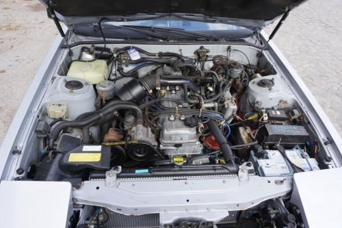 WhatsApp Image 2021-04-14 at 15.55.09