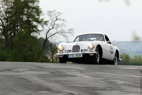 11154914_1582495598667888_722901269854982615_o