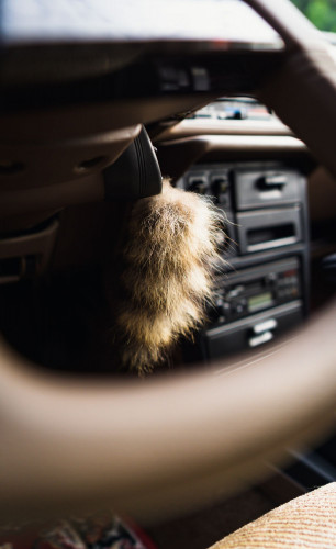 4568F0C3-0A33-4A06-8F0B-44E89B2AAA67