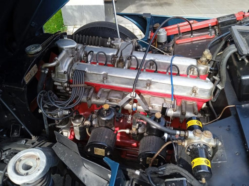 WhatsApp Image 2021-07-27 at 20.14.50 (1)