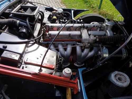 WhatsApp Image 2021-07-27 at 20.14.50 (2)