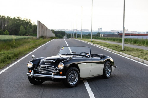 austin-healey-3000-jirka-herian-100.jpg