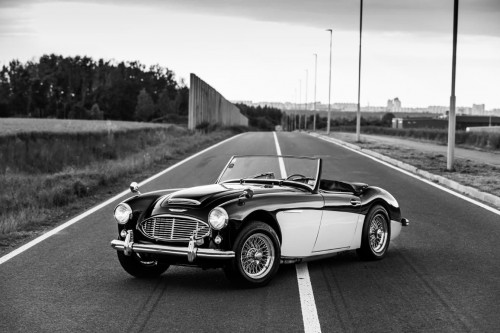 austin-healey-3000-jirka-herian-101.jpg