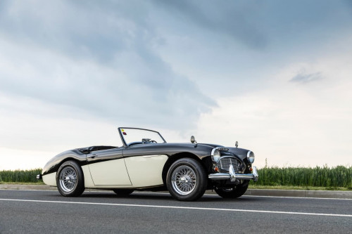 austin-healey-3000-jirka-herian-105.jpg