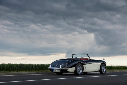 austin-healey-3000-jirka-herian-109.jpg