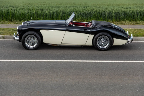 austin-healey-3000-jirka-herian-2.jpg