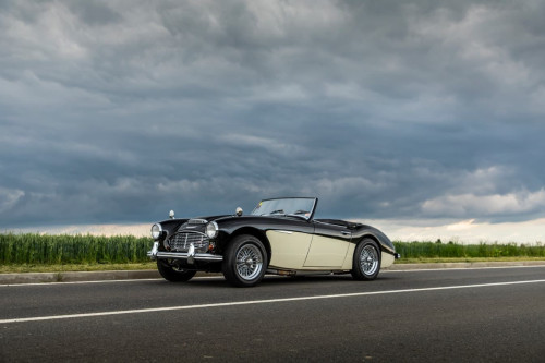 austin-healey-3000-jirka-herian-5.jpg