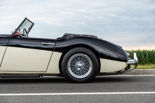 austin-healey-3000-jirka-herian-53.jpg