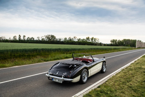 austin-healey-3000-jirka-herian-57.jpg