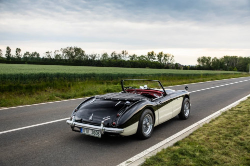 austin-healey-3000-jirka-herian-58.jpg
