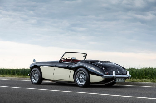 austin-healey-3000-jirka-herian-6.jpg