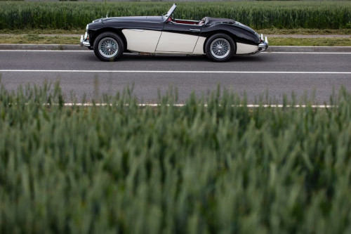 austin-healey-3000-jirka-herian-60.jpg