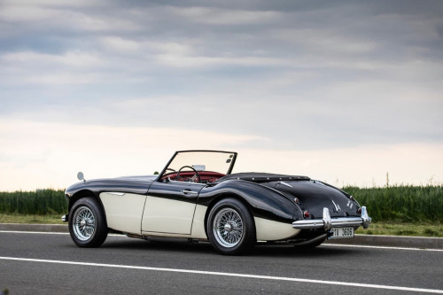 austin-healey-3000-jirka-herian-61.jpg