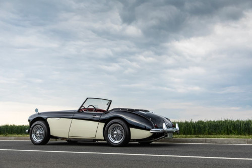 austin-healey-3000-jirka-herian-7.jpg