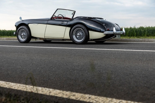 austin-healey-3000-jirka-herian-8.jpg