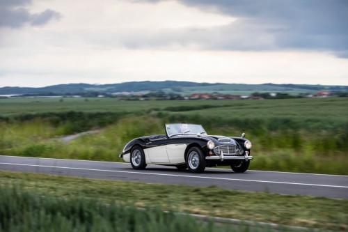 austin-healey-3000-jirka-herian-80.jpg