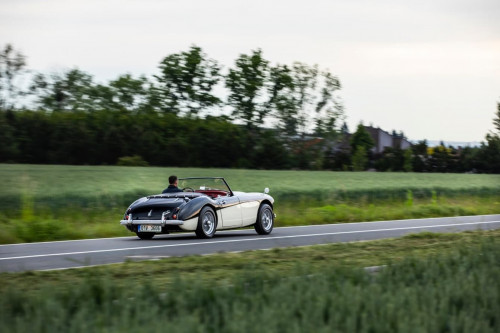 austin-healey-3000-jirka-herian-82.jpg
