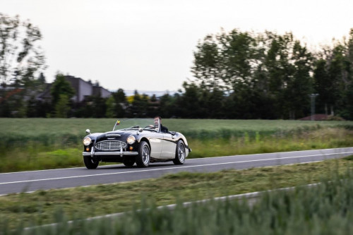 austin-healey-3000-jirka-herian-83.jpg