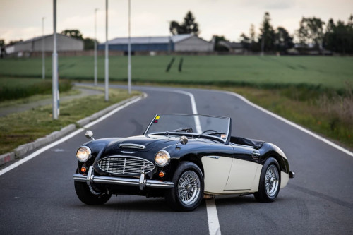 austin-healey-3000-jirka-herian-92.jpg
