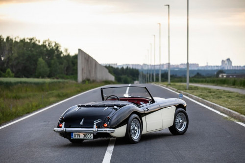 austin-healey-3000-jirka-herian-93.jpg