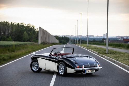 austin-healey-3000-jirka-herian-95.jpg