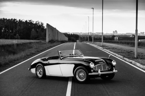 austin-healey-3000-jirka-herian-97.jpg