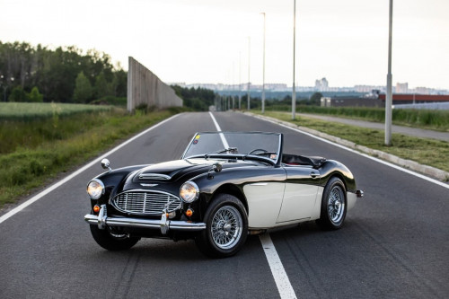 austin-healey-3000-jirka-herian-99.jpg