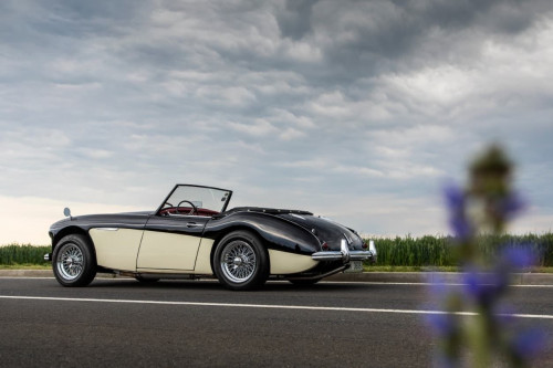 austin-healey-3000-xx.jpg