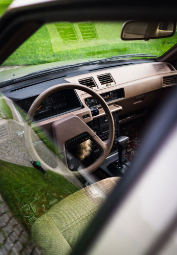 D7D2CDDC-0552-4524-BAC9-331C43995A17