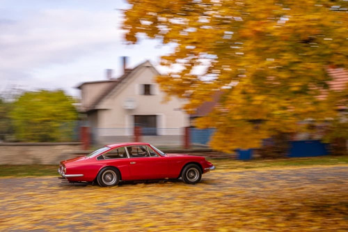 Ferrari 365 2+2