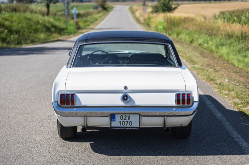 Ford Mustang _16.JPG