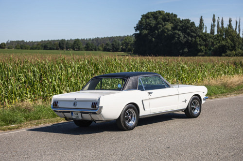 Ford Mustang _21.JPG