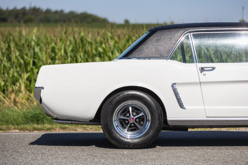 Ford Mustang _22.JPG