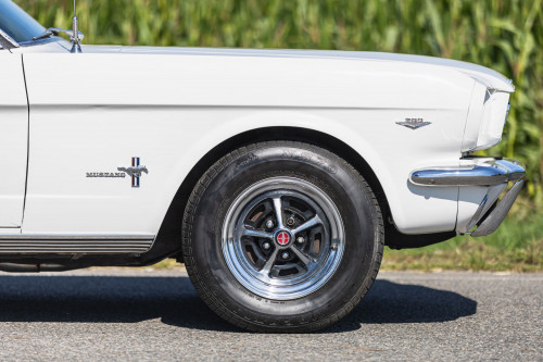 Ford Mustang _25.JPG