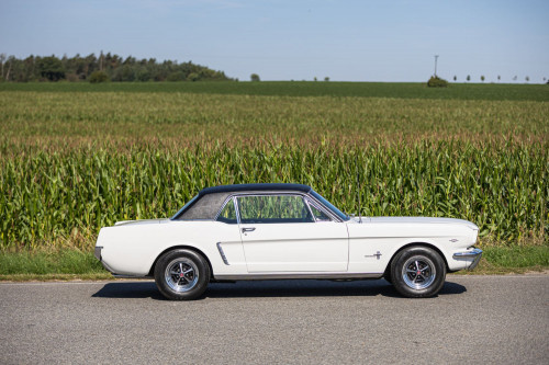 Ford Mustang _26.JPG