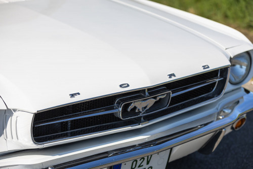 Ford Mustang _32.JPG