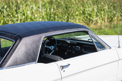 Ford Mustang _35.JPG