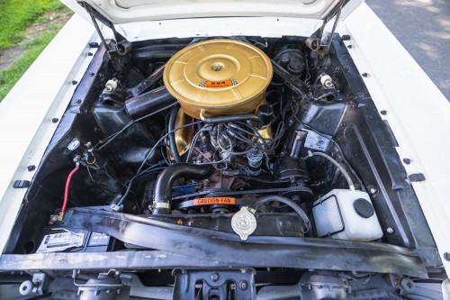 Ford Mustang _38.JPG