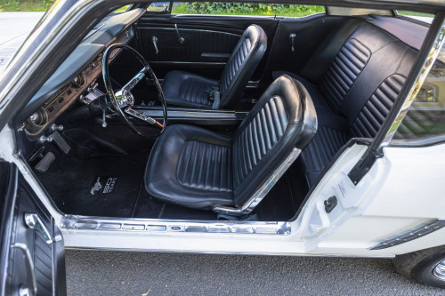 Ford Mustang _41.JPG