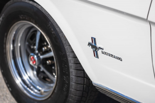 Ford Mustang _6.JPG