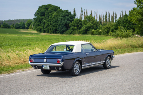 Ford Mustang Low_26.JPG