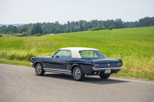 ford-mustang-low-8-hwoh