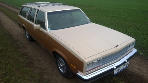 IMG-20171019-WA0009 - kopie