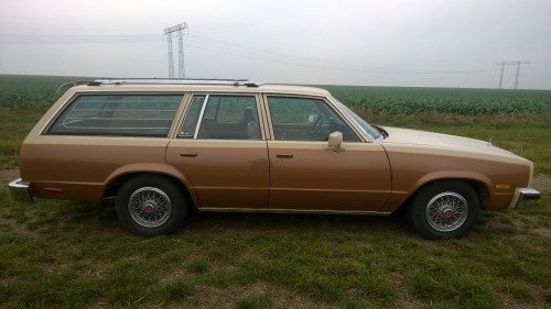 IMG-20171019-WA0011 - kopie